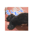 のえたんから一言。（個別スタンプ：1）