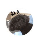 のえたんから一言。（個別スタンプ：7）