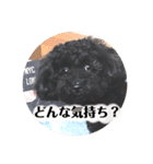 のえたんから一言。（個別スタンプ：8）