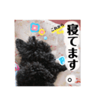 のえたんから一言。（個別スタンプ：11）