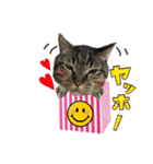 我が家のまいりー4（個別スタンプ：4）