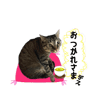 我が家のまいりー4（個別スタンプ：16）