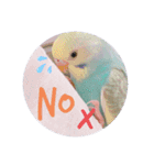 癒されインコ 3（個別スタンプ：14）