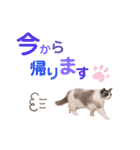 いつものほたてくん2（個別スタンプ：2）