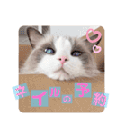 いつものほたてくん2（個別スタンプ：5）