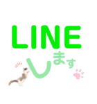 いつものほたてくん2（個別スタンプ：9）