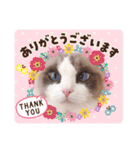 いつものほたてくん2（個別スタンプ：15）