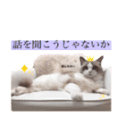 いつものほたてくん2（個別スタンプ：24）