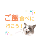 いつものほたてくん2（個別スタンプ：28）