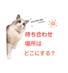 いつものほたてくん2（個別スタンプ：32）