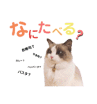 いつものほたてくん2（個別スタンプ：33）