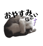 そらそらスタ（個別スタンプ：2）