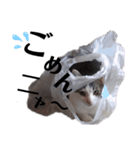 そらそらスタ（個別スタンプ：11）