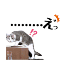 そらそらスタ（個別スタンプ：13）