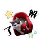 そらそらスタ（個別スタンプ：14）