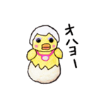 オバヒヨ ベーシック（個別スタンプ：1）