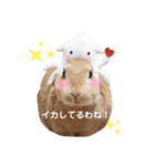 クゥタラ日和2（個別スタンプ：4）
