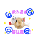 クゥタラ日和2（個別スタンプ：23）