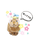 クゥタラ日和2（個別スタンプ：24）
