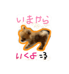 我が家の犬たち【改】（個別スタンプ：3）