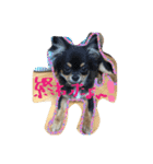 我が家の犬たち【改】（個別スタンプ：7）