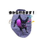 ジルちゃんとロン君のスタンプ2⃣（個別スタンプ：9）