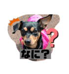 ジルちゃんとロン君のスタンプ2⃣（個別スタンプ：14）