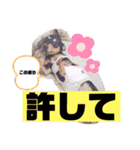 ジルちゃんとロン君のスタンプ2⃣（個別スタンプ：15）