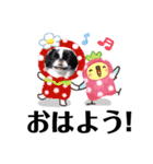 狆＆柴犬の毎日の安否確認（個別スタンプ：1）