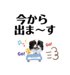 狆＆柴犬の毎日の安否確認（個別スタンプ：12）