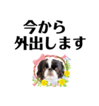 狆＆柴犬の毎日の安否確認（個別スタンプ：13）