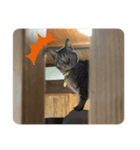 ん？どした？（個別スタンプ：4）