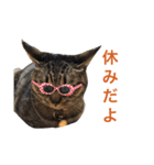 ん？どした？（個別スタンプ：7）