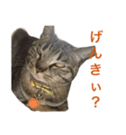 ん？どした？（個別スタンプ：9）