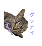 ん？どした？（個別スタンプ：10）