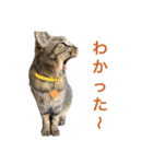 ん？どした？（個別スタンプ：12）