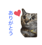 ん？どした？（個別スタンプ：13）