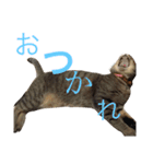 ん？どした？（個別スタンプ：14）