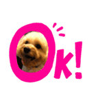 ★URU★（個別スタンプ：3）