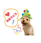 ★URU★（個別スタンプ：7）