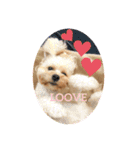 ★URU★（個別スタンプ：10）