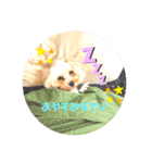 ★URU★（個別スタンプ：11）