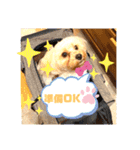 ★URU★（個別スタンプ：20）