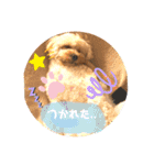 ★URU★（個別スタンプ：21）