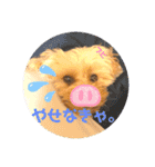 ★URU★（個別スタンプ：23）