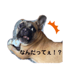 マロくんすたんぷ3（個別スタンプ：11）