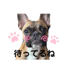 マロくんすたんぷ3（個別スタンプ：13）