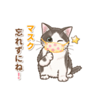 やさしいい子猫の動くスタンプ（個別スタンプ：4）