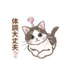 やさしいい子猫の動くスタンプ（個別スタンプ：5）