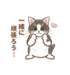 やさしいい子猫の動くスタンプ（個別スタンプ：8）